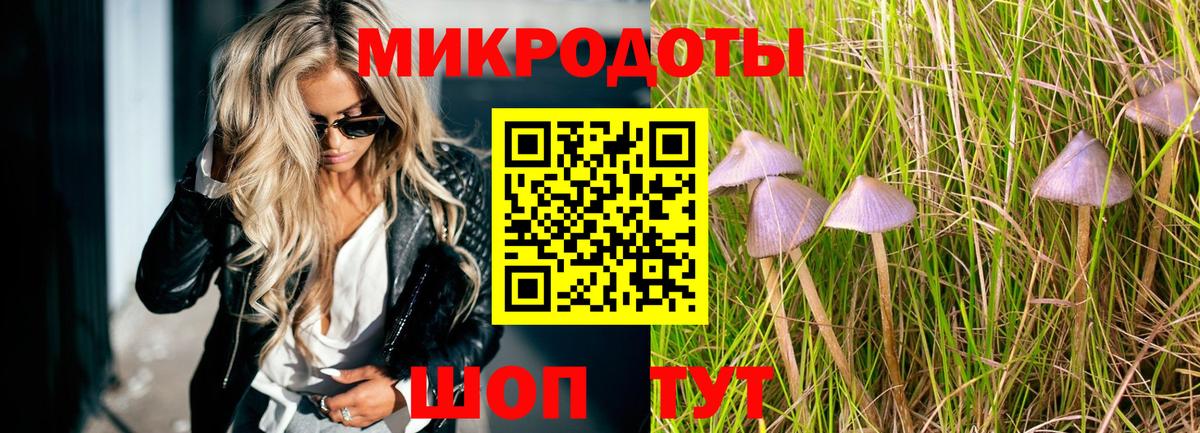 Псилоцибиновые грибы Psilocybe  Вход с VPN  Щёлково 