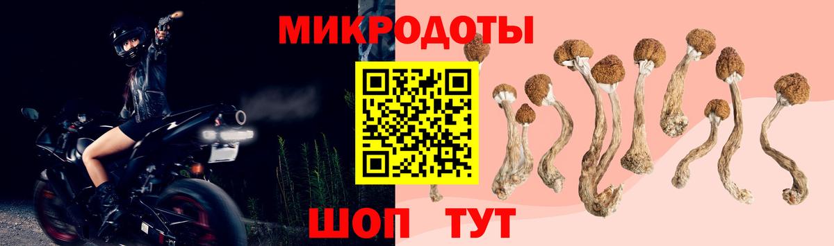 Галлюциногенные грибы Psilocybine cubensis Щёлково